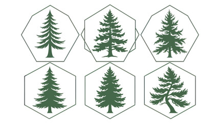 Obraz premium Pine tree graphics collection