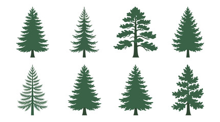 Obraz premium Set of evergreen tree silhouettes