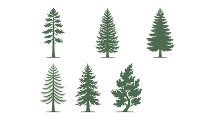 Obraz premium Set of evergreen tree silhouettes