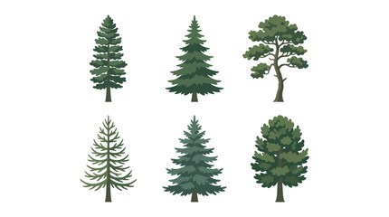 Obraz premium Set of evergreen trees