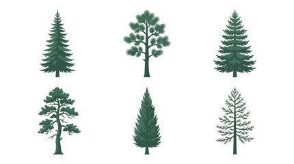 Obraz premium Set of evergreen trees illustrations