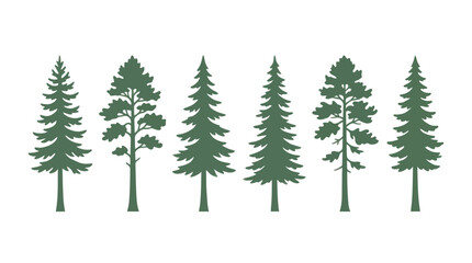 Obraz premium Set of evergreen trees silhouette