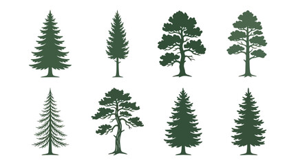 Obraz premium Set of evergreen trees silhouettes