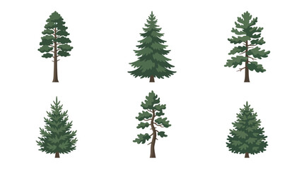 Set of coniferous tree illustrations © Miko