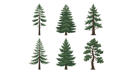 Set of coniferous trees illustration © Miko