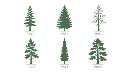 Obraz premium Set of pine tree silhouettes