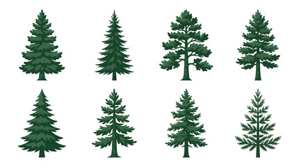 Obraz premium Set of evergreen coniferous trees