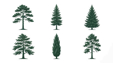 Obraz premium Set of various evergreen trees