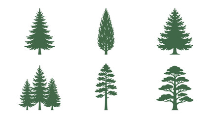 Obraz premium Variety of evergreen tree silhouettes