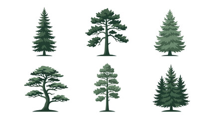 Various coniferous trees collection © Verilux