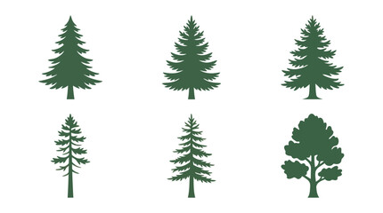 Obraz premium Various evergreen and deciduous tree silhouettes