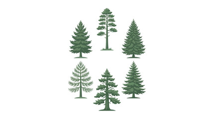 Variety of evergreen trees collection © Golden