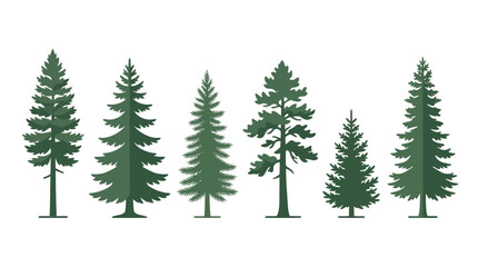 Obraz premium Variety of evergreen trees illustration