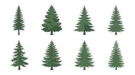 Obraz premium Various evergreen tree illustrations
