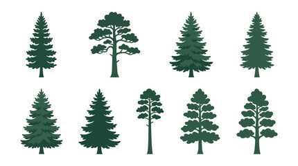 Obraz premium Variety of pine tree silhouettes