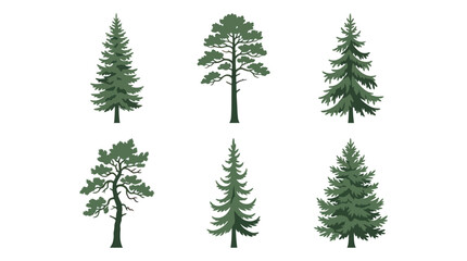 Obraz premium Various evergreen tree illustrations