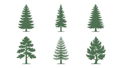 Obraz premium Variety of pine tree silhouettes