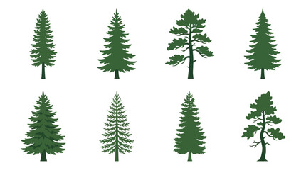 Obraz premium Various evergreen tree illustrations