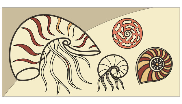 Stylized vector illustration set of prehistoric nautilus and ammonite fossil shells in retro warm colors