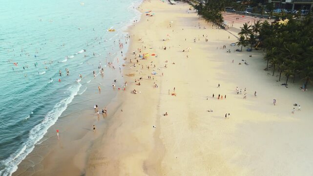 Danang my khe beach panoramic aerial view capturing many people enjoying the summer vacation. Swimming in the warm blue ocean water. Relaxing on the long sandy coastline. And walking under palm trees