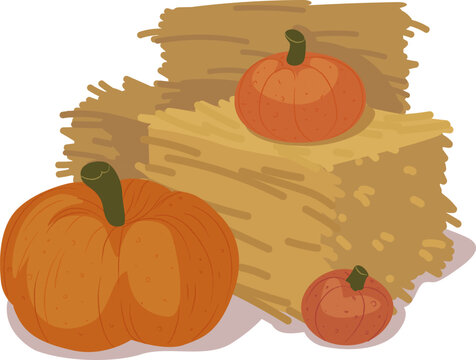 Pencil sketch of colorful pumpkins near hay bales autumn harvest arrangement