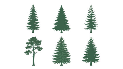 Fototapeta premium Various evergreen tree silhouettes
