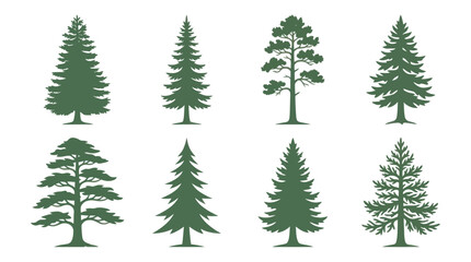 Obraz premium Various evergreen tree silhouettes
