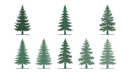 Obraz premium Various evergreen tree silhouettes