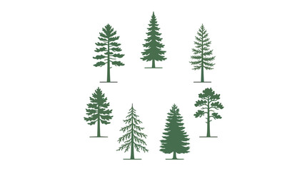 Obraz premium Various evergreen trees collection