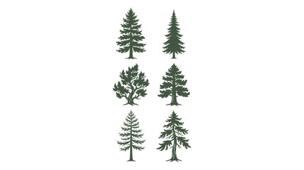 Fototapeta premium Various evergreen tree silhouettes