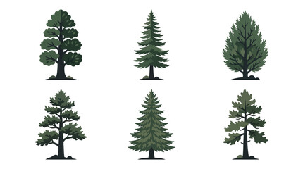 Fototapeta premium Various evergreen trees illustration