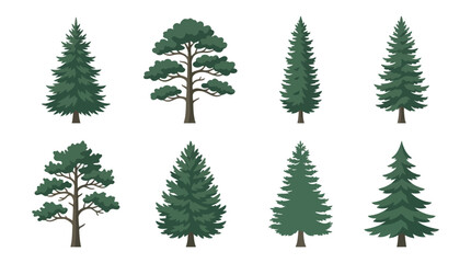 Obraz premium Various evergreen trees illustration