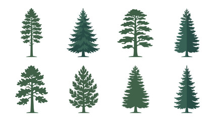 Obraz premium Various green evergreen tree silhouettes