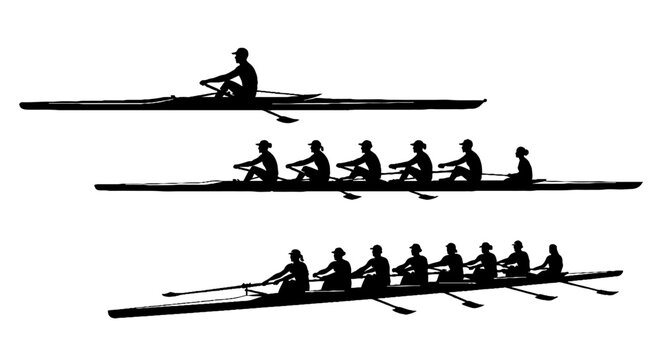 Silhouettes of rowers in single and team rowboats.