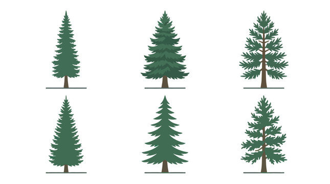 Various pine tree illustrations