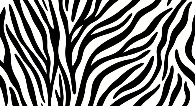 Black and white zebra stripe animal pattern