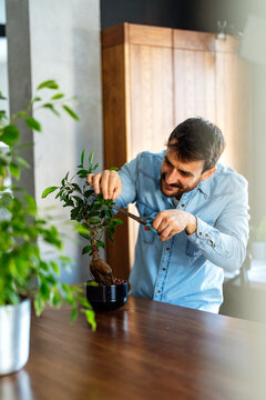 Man caring for his indoor plants in home, embracing the beauty of nature in everyday urban life