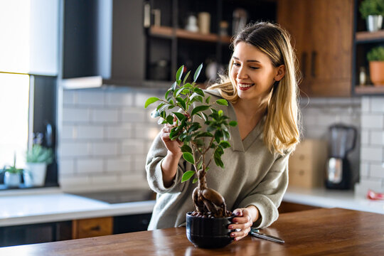 A woman trimming indoor plants, enjoying home gardening and relaxation at home, peaceful weekend