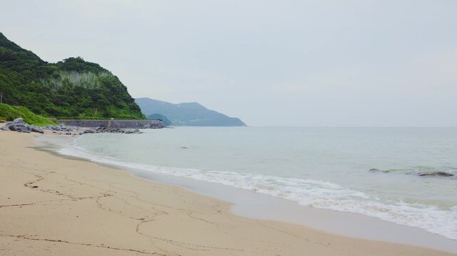 緑豊かな岬の斜面と穏やかな水平線が広がる美しい砂浜の風景