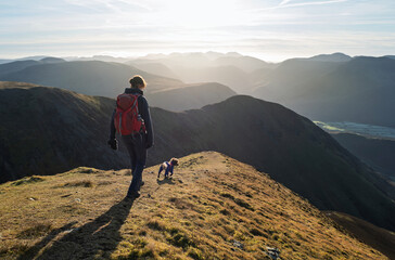 Fototapeta premium A female hiker and their dog walking down from the summit of Grasmoor with Whiteless Pike and Robinson in the distance on a bright winters morning in the Lake District, UK