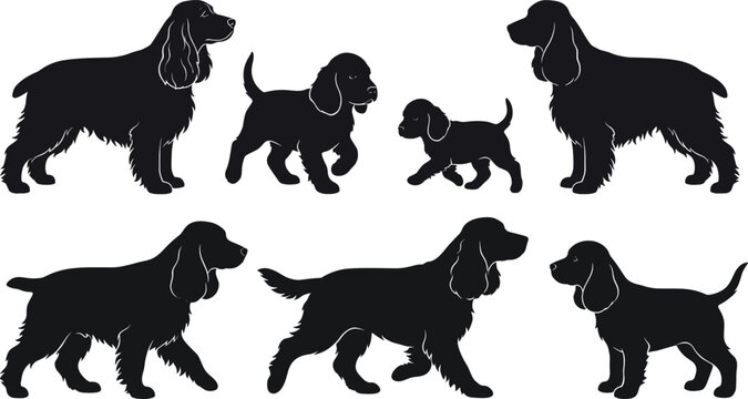 English Cocker Spaniel Dog Silhouette Collection with Adult Dogs and Puppies Vector Set