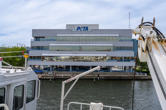Norfolk Virginia - June 20 2026: The PETA Headquarters Seen From a Docked Ship in Norfolk Virginia