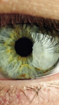 zoom in and out shot close up of human male eye. transition zoom to infinity black - vertical video