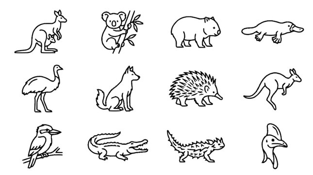 Various Australian animals are depicted in a line drawing illustration.