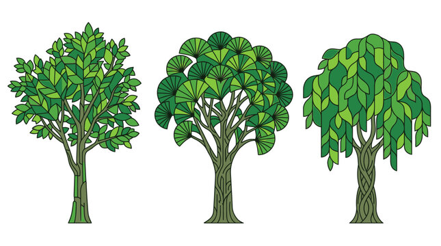 Eine Sammlung von drei stilisierten B&auml;umen mit unterschiedlichen gr&uuml;nen Bl&auml;ttern und detaillierten St&auml;mmen, isoliert auf wei&szlig;em Hintergrund, ideal f&uuml;r Natur- und Umweltdesigns.
