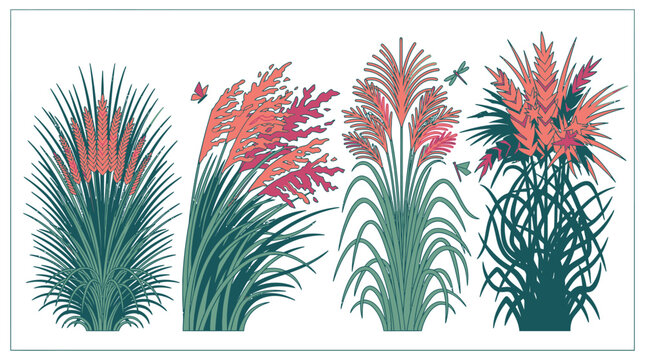 Ensemble d'illustrations vectorielles de gramin&eacute;es ornementales et de plantes sauvages stylis&eacute;es avec des tons de vert et de corail sur un fond blanc &eacute;pur&eacute;