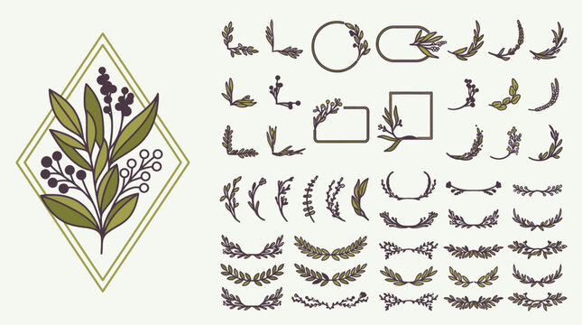 Conjunto de elementos decorativos bot&aacute;nicos dibujados a mano con ramas, hojas, bayas y marcos geom&eacute;tricos para dise&ntilde;o gr&aacute;fico, invitaciones de boda y papeler&iacute;a elegante.