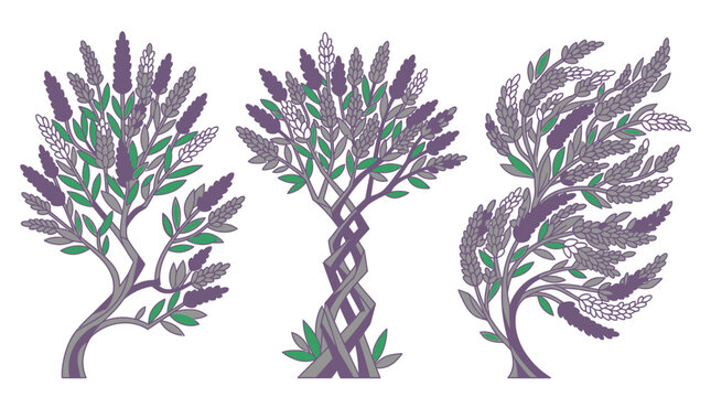 Conjunto de tres &aacute;rboles estilizados con flores de lavanda moradas y hojas verdes sobre un fondo blanco, dise&ntilde;o art&iacute;stico decorativo para proyectos de dise&ntilde;o gr&aacute;fico y bot&aacute;nica.
