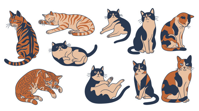 Conjunto de ilustraciones vectoriales de gatos con diversas posturas, pelajes atigrados y tricolores, dise&ntilde;ado en un estilo art&iacute;stico plano y minimalista sobre un fondo blanco limpio.