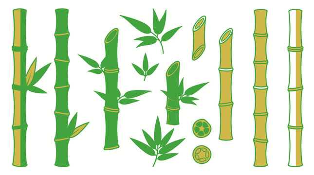 Conjunto de elementos de dise&ntilde;o de bamb&uacute; con tallos verdes y marrones, hojas frescas y secciones transversales, ilustrados en un estilo plano y minimalista sobre fondo blanco.